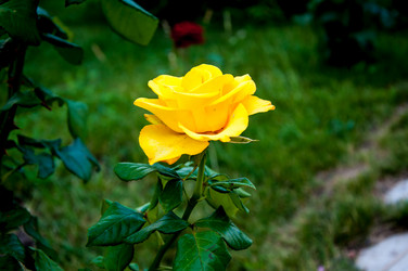 Similar image 2881956