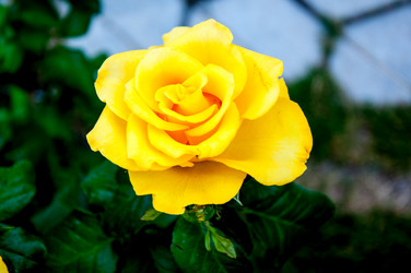 Similar image 2881958