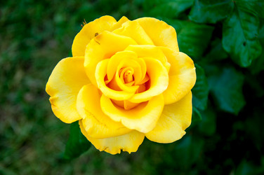 Similar image 2881961