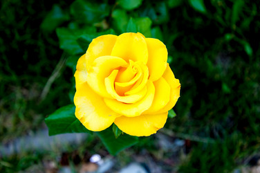 Similar image 2881962