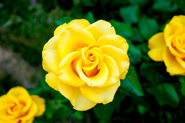 Similar image 2881963