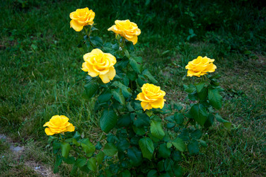 Similar image 2881964