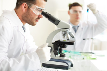 Similar image 2882015