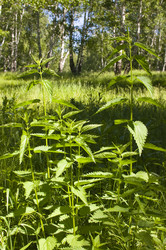 Similar image 2882031