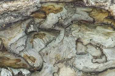 Similar image 2882032