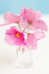 Similar image 2882079