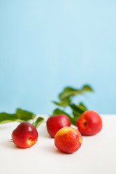 Similar image 2882081