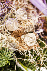 Similar image 2882082