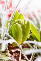 Similar image 2882083