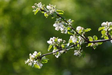 Similar image 2882115