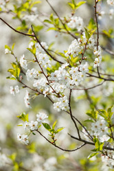 Similar image 2882116