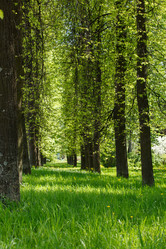 Similar image 2882117