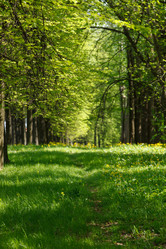 Similar image 2882118