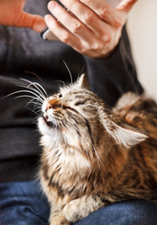 Similar image 2882122