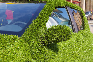 Similar image 2882155