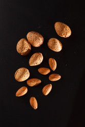 Similar image 2882171