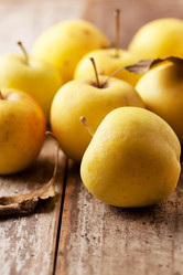 Similar image 2882179