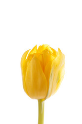 Similar image 2882191