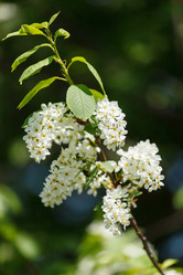 Similar image 2882197