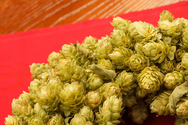 Similar image 2882205