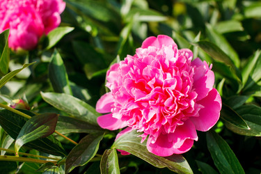 Similar image 2882235