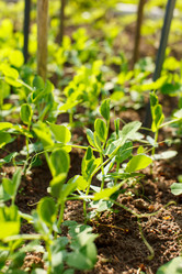 Similar image 2882236