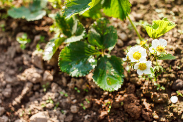 Similar image 2882237