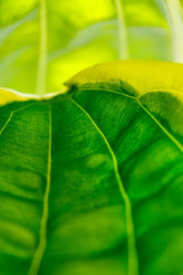 Similar image 2882238