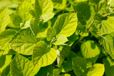 Similar image 2882240