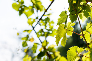 Similar image 2882241