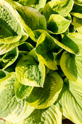 Similar image 2882248