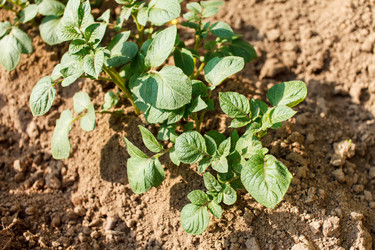 Similar image 2882249