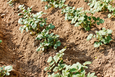 Similar image 2882290