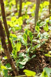 Similar image 2882304