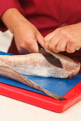 Similar image 2882357