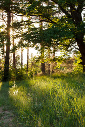 Similar image 2882421