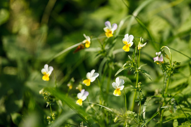 Similar image 2882424