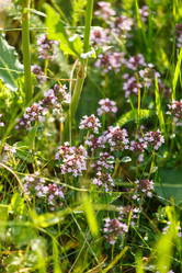 Similar image 2882425