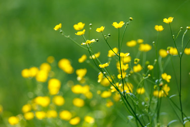 Similar image 2882426