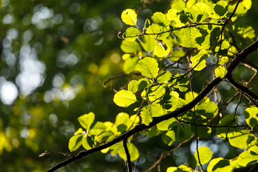 Similar image 2882428