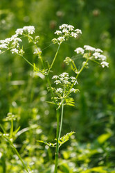 Similar image 2882432