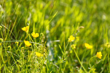 Similar image 2882433