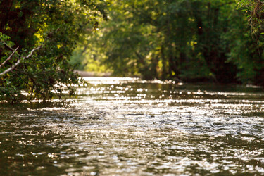 Similar image 2882434