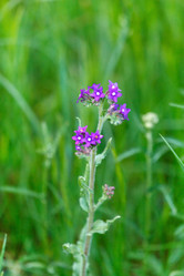 Similar image 2882435