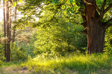 Similar image 2882436