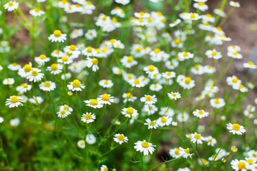 Similar image 2882444