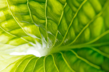 Similar image 2882445