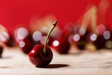 Similar image 2882447