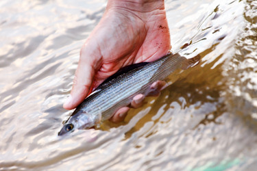 Similar image 2882462