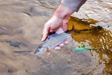 Similar image 2882463